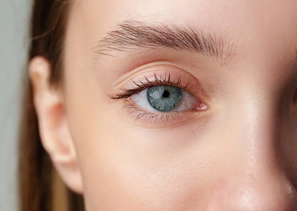 Detalhe da região dos olhos e das pálpebras